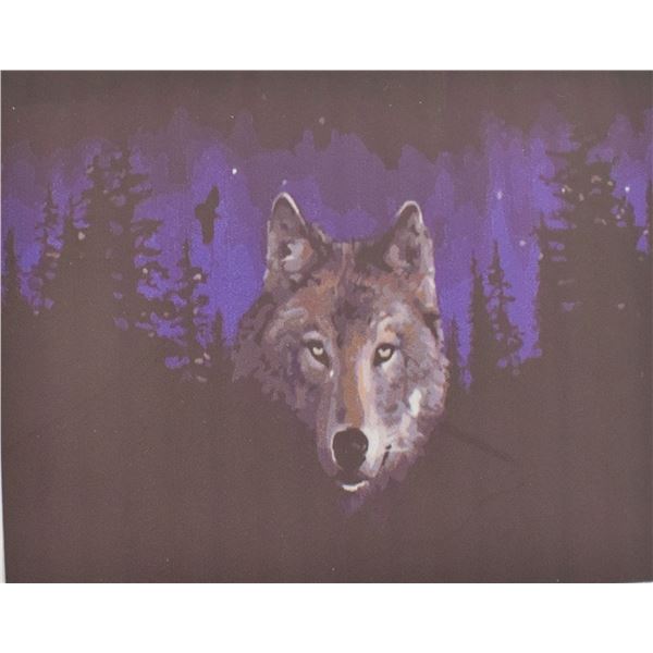 NEW DIY PAINT BY NUMBERS 50CM X 40CM WOLF