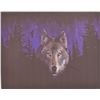 Image 1 : NEW DIY PAINT BY NUMBERS 50CM X 40CM WOLF