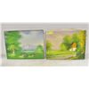Image 1 : PAIR OF 12" X 16" ORIGINAL CANVAS PAINTINGS