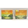 Image 1 : PAIR OF 8" X 10" ORIGINAL CANVAS PAINTINGS