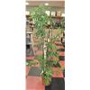 Image 1 : ARTIFICIAL BAMBOO FLOOR PLANT H-68"