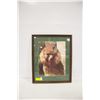 Image 1 : FRAMED GOPHER WALL HANGING 16" X 19"