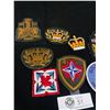 Image 2 : Bag of Canadian Forces Insignia Badges