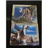 Image 2 : Nice Collectible Lot of 5 Animal Collector Plates