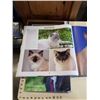Image 8 : OBAMA AN INTIMATE PORTRAIT COFFEE TABLE BOOK, CAR BREEDS COFFEE TABLE BOOK AND CAT PRINT