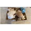 Image 1 : 2 TRAYS OF SEA SHELLS