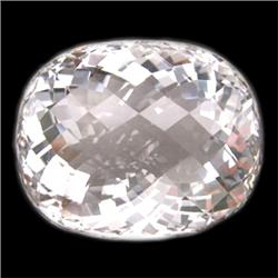 63.9ct RARE Jumbo Light Pink Natural Morganite AAA FLAWLESS (GEM-8904)