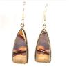 Image 1 : Beautiful Navajo AAA Picture Jasper Earring's