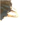 Image 4 : Handmade Picture Jasper Ring