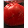 Image 2 : LAILA ALI SIGNED RED EVERLAST BOXING GLOVE