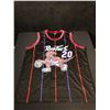 Image 3 : DAMON STOUDAMIRE SIGNED RAPTORS PRO STYLE JERSEY (JSA COA)