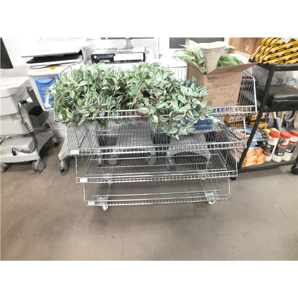 Stainless Steel Storage Cart On Wheels & Fake Plants