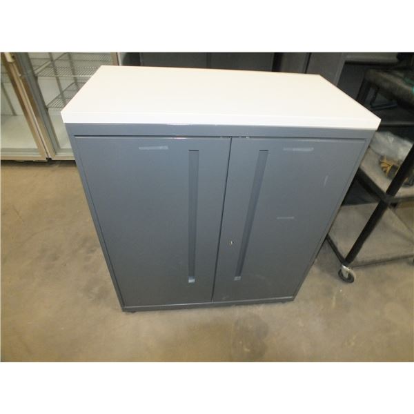 2 Door Metal Storage Cabinet