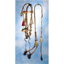 Laramie Horsehair Bridle