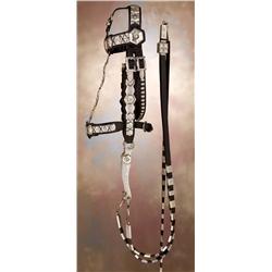 Edward H Bohlin Hexagon Bridle & Bit