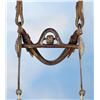 Image 3 : Santa Barbara Bridle