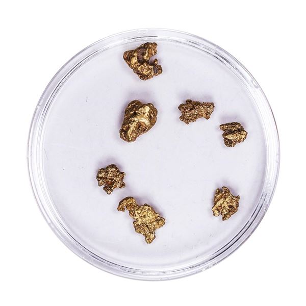 Lot of Gold Nuggets 2.27 Grams Total Weight