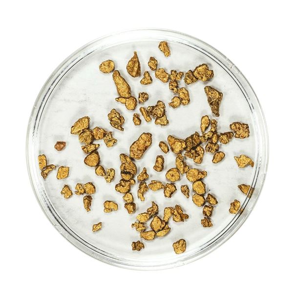 Lot of Gold Nuggets 3.08 Grams Total Weight