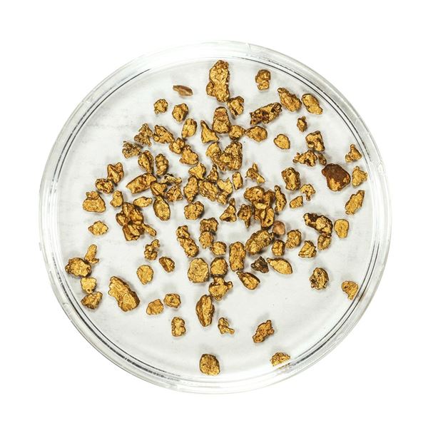 Lot of Gold Nuggets 3.00 Grams Total Weight