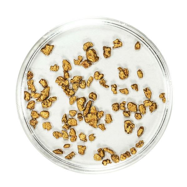 Lot of Gold Nuggets 2.76 Grams Total Weight