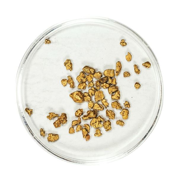 Lot of Gold Nuggets 1.88 Grams Total Weight