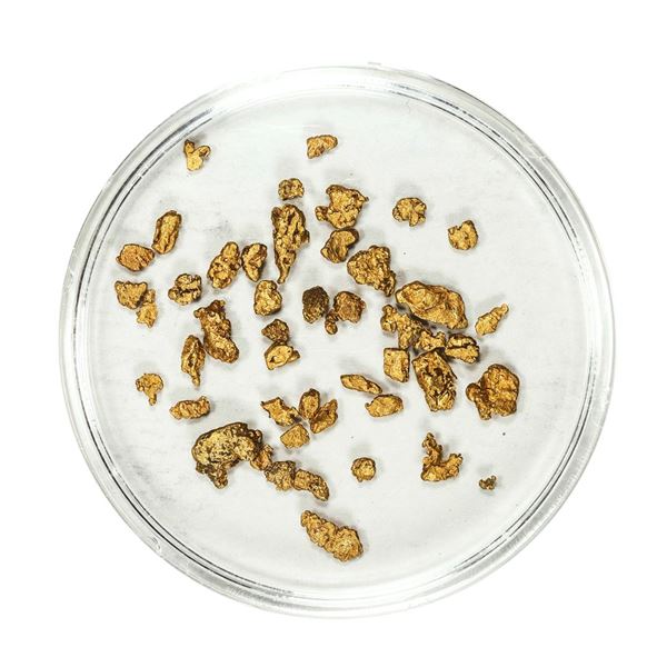 Lot of Gold Nuggets 2.27 Grams Total Weight