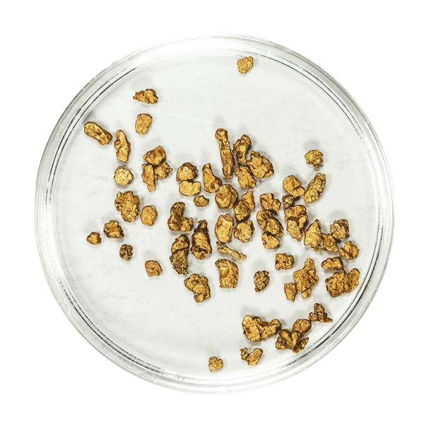 Lot of Gold Nuggets 2.33 Grams Total Weight