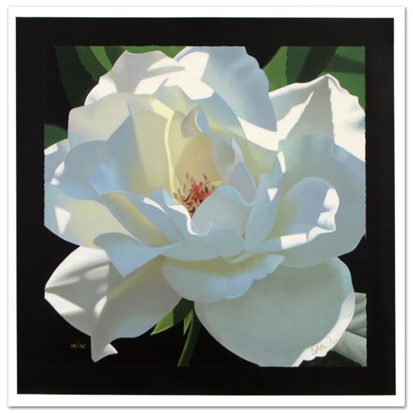 Brian Davis "Rose In The Shadows" Limited Edition Giclee On Canvas