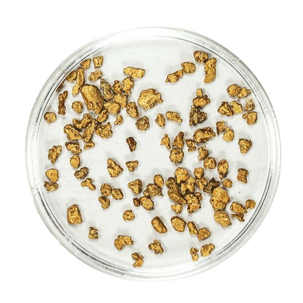 Lot of Gold Nuggets 3.06 Grams Total Weight