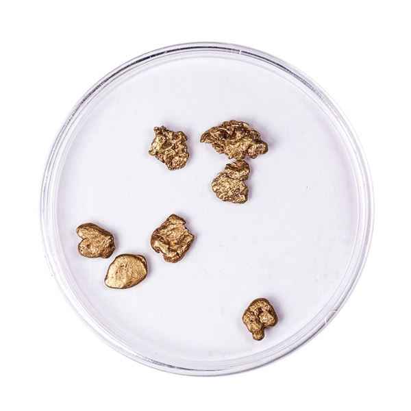 Lot of Gold Nuggets 2.12 Grams Total Weight