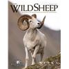 Image 2 : Wild Sheep Foundation Life Membership