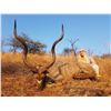 Image 5 : 7-day Safari for Two Hunters in South Africa with Graham Sales Safaris