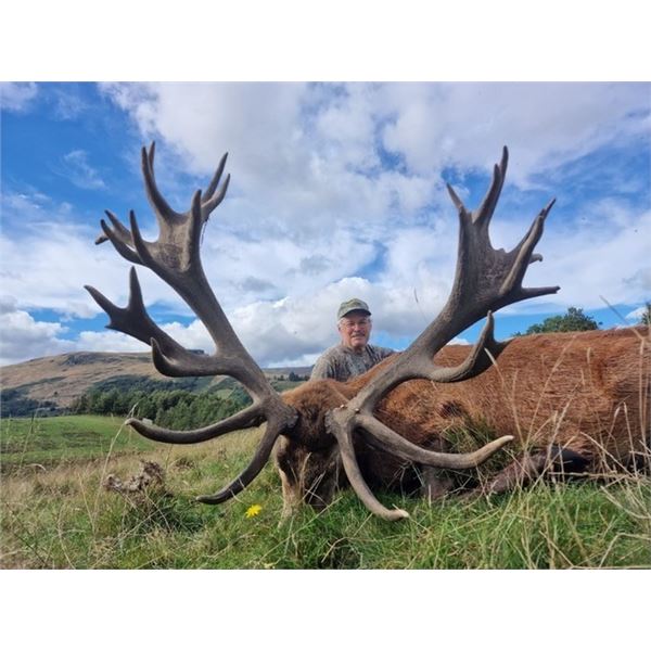 Scotland Red Stag with International Adventures