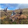 Image 3 : Scotland Red Stag with International Adventures
