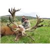 Image 4 : Scotland Red Stag with International Adventures