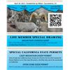 Image 2 : California Wild Sheep Foundation Lifetime Membership