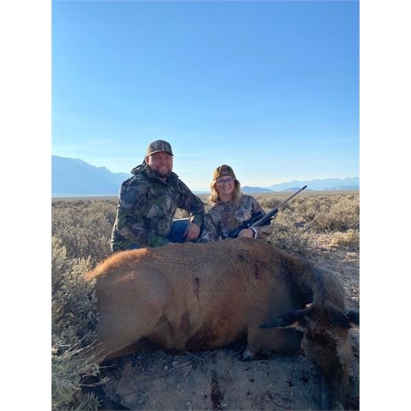 Idaho 3-day Cow Elk Hunt for (1) Youth and (2) Adult Observer's