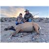 Image 4 : Idaho 3-day Cow Elk Hunt for (1) Youth and (2) Adult Observer's