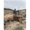 Image 6 : Idaho 3-day Cow Elk Hunt for (1) Youth and (2) Adult Observer's