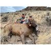 Image 7 : Idaho 3-day Cow Elk Hunt for (1) Youth and (2) Adult Observer's