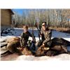 Image 8 : Idaho 3-day Cow Elk Hunt for (1) Youth and (2) Adult Observer's