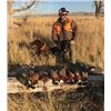 Image 5 : 3 night and 2 day Idaho Pheasant Hunt for Two Hunters with South Hills Lodge
