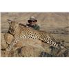 Image 1 : 14-day Leopard Hunt with Namibia Safari Corporation
