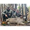 Image 6 : Blacktail Deer and Black Bear Hunt with Eden Ridge Outfitters