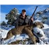 Image 1 : 5-day Arizona Mountain Lion Hunt with Diamond Outfitters