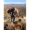 Image 6 : 5-day Arizona Mountain Lion Hunt with Diamond Outfitters