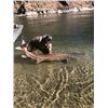 Image 10 : Salmon/Steelhead or Sturgeon Fishing for 1 or 2 people with JB's Killer Guide Service