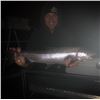 Image 12 : Salmon/Steelhead or Sturgeon Fishing for 1 or 2 people with JB's Killer Guide Service
