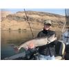 Image 3 : Salmon/Steelhead or Sturgeon Fishing for 1 or 2 people with JB's Killer Guide Service