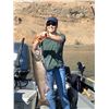 Image 4 : Salmon/Steelhead or Sturgeon Fishing for 1 or 2 people with JB's Killer Guide Service